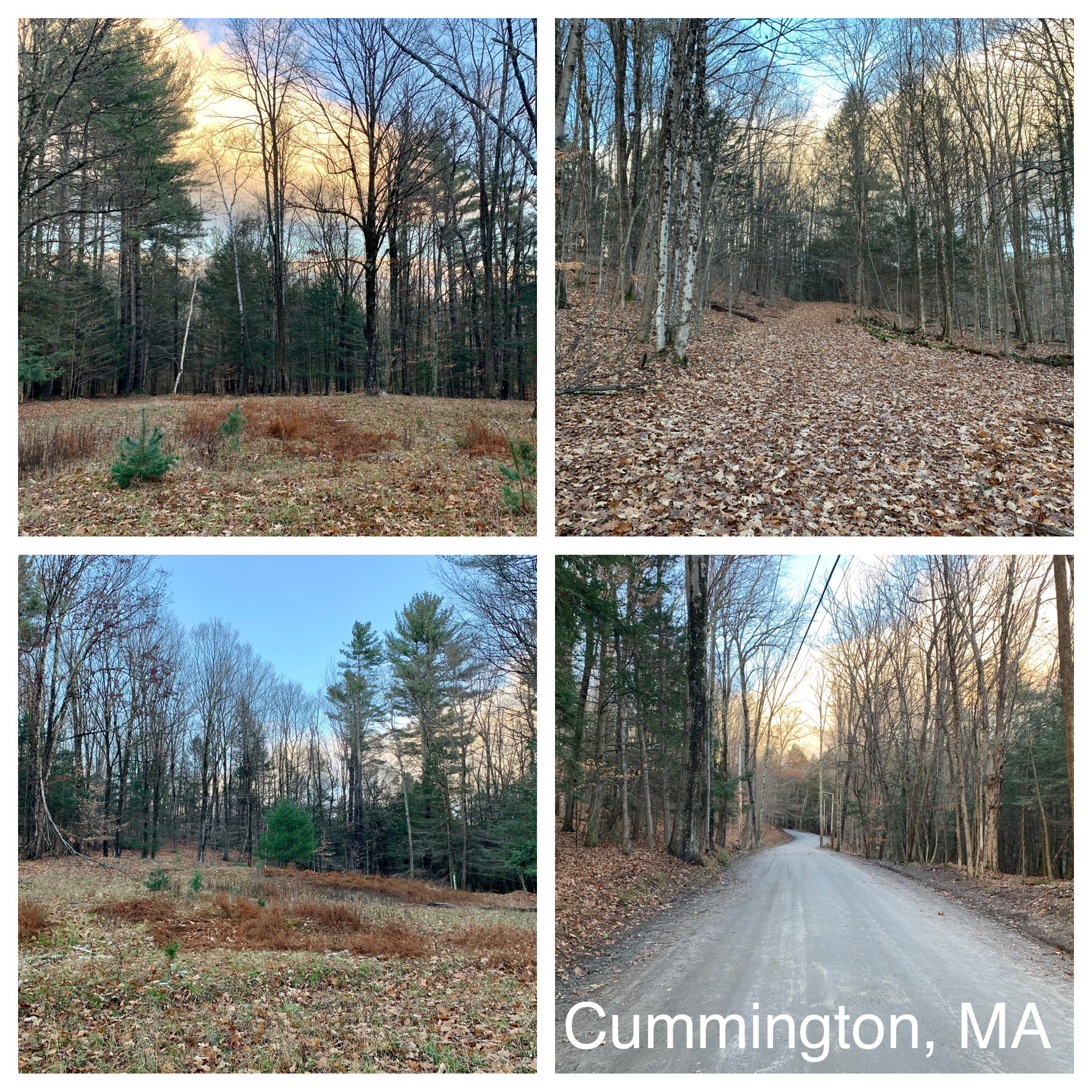 Western Massachusetts Land for Sale Cummington