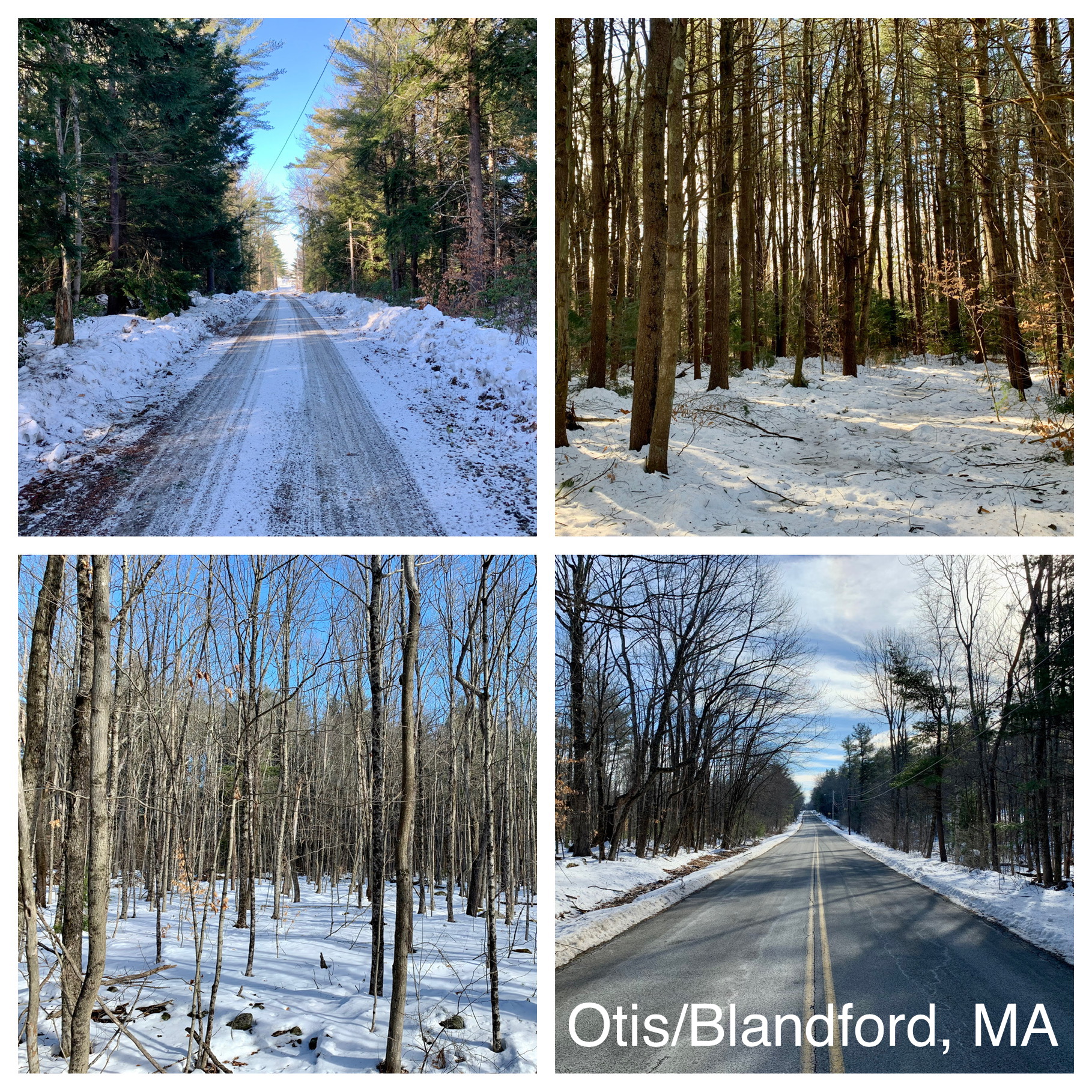 Western Massachusetts Land for Sale Otis Blandford